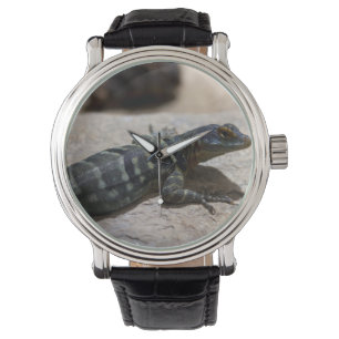 Petrosaurus thalassinus armbandsur