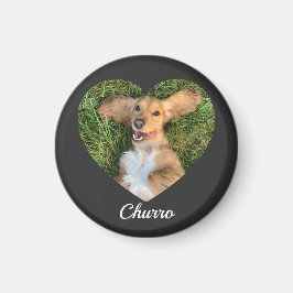 Pet's Cute Modern Typography Name and heart Photo Magnet