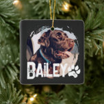 Pets enkla moderna Coola Grunge Namn och Photo Julgransprydnad Keramik<br><div class="desc">Denna enkla och moderna design består av modern,  enkel,  lekfull skripttypografi. Lägg till ett foto av anpassningsbarna hund,  katt,  valp eller kattunge</div>