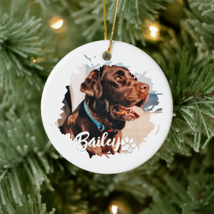 Pets enkla moderna Coola Typografi Namn och foto Julgransprydnad Keramik