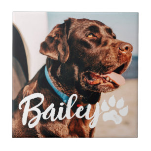 Pets enkla moderna Coola Typografi Namn och foto Kakelplatta
