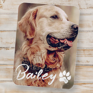 Pets enkla moderna Coola Typografi Namn och foto Magnet