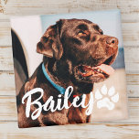Pets enkla moderna Coola Typografi Namn och foto Magnet<br><div class="desc">Denna enkla och moderna design består av modern,  enkel,  lekfull skripttypografi. Lägg till ett foto av anpassningsbarnas husdjur.</div>