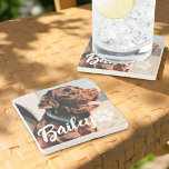 Pets enkla moderna Coola Typografi Namn och foto Stenunderlägg<br><div class="desc">Denna enkla och moderna design består av modern,  enkel,  lekfull skripttypografi. Lägg till ett foto av anpassningsbarnas husdjur.</div>