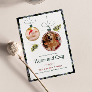 Pets Family jul Pet Photos Gordon Tartan Julkort