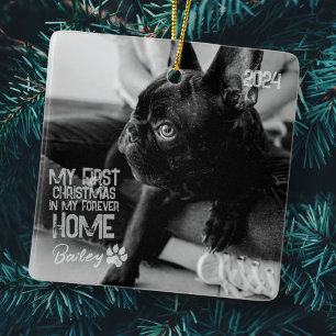 Pets första julafton för hemmet Modern Grunge Julgransprydnad Keramik