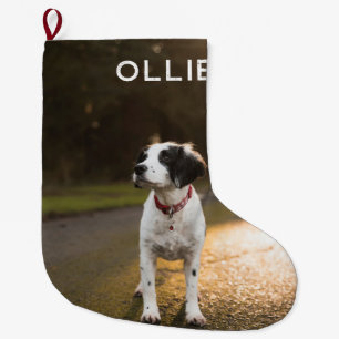 Pets första julfoto - stor julklapp julstrumpa