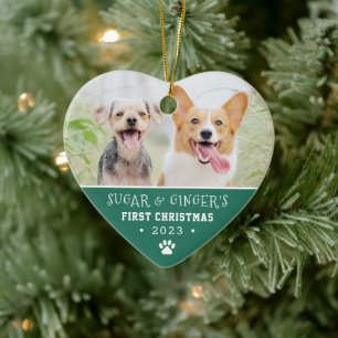Pets första julpaw Skriv ut turkos-foto Julgransprydnad Keramik