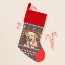 Pets foto Traditionell jul