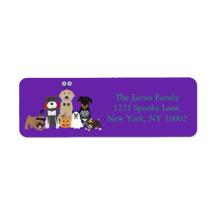 Pets Halloween Costumes Returadress Etikett