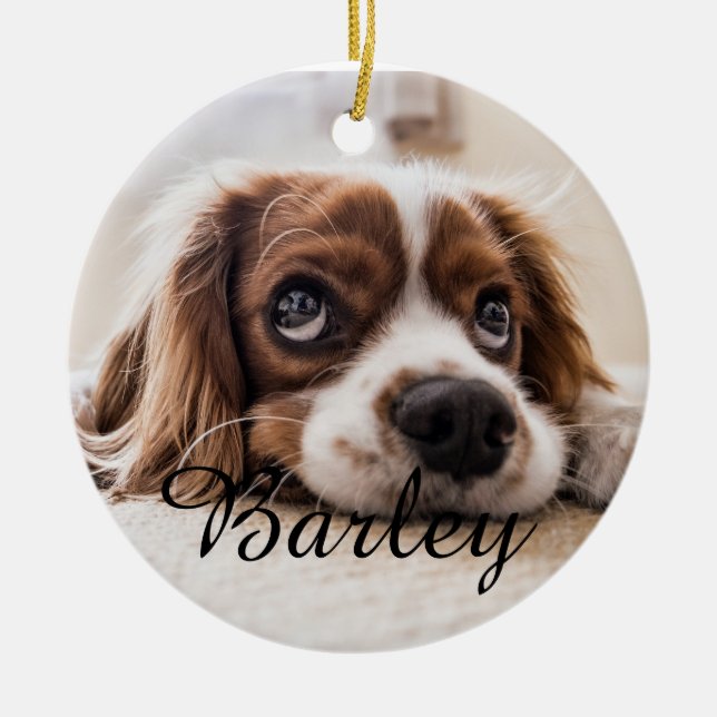 Pet's Simple Elegant Dog Name and Photo Christmas Julgransprydnad Keramik (Framsidan)