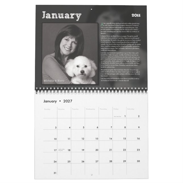 PetsNPatients 2011 Kalender (Jan 2027)