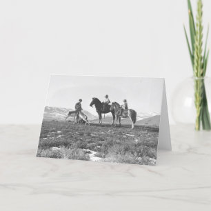 Petting Antelopes. Kort