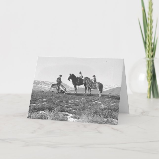 Petting Antelopes. Kort (Framsida)