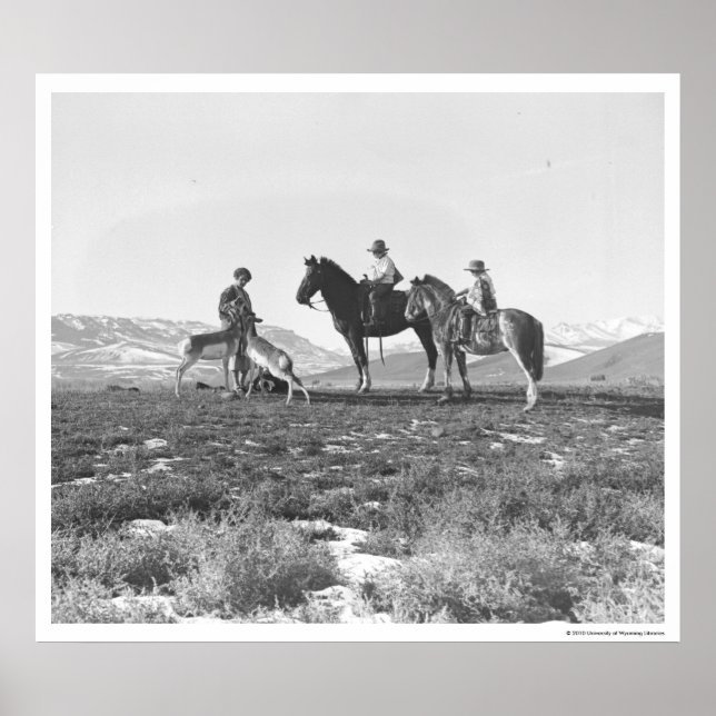 Petting Antelopes. Poster (Framsidan)