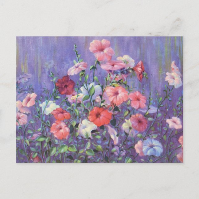 Petunia av Cargill, 1937 Vykort (Framsida)
