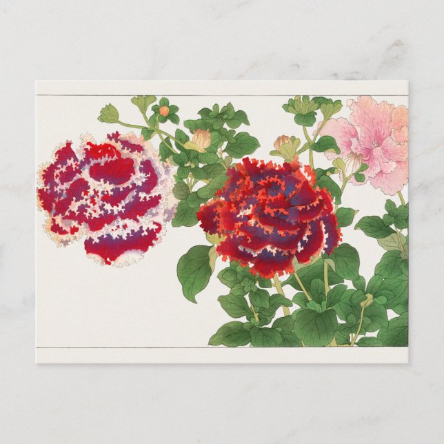Petunia av Tanigami Konan Vykort (Framsida)