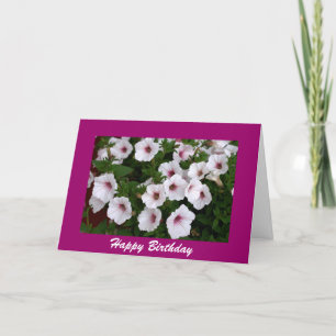 Petunia Birthday Hälsning Kort
