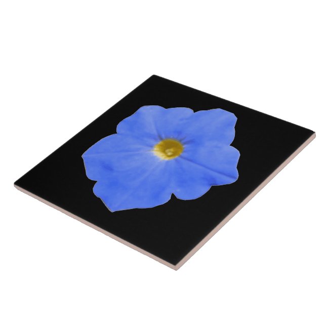 Petunia Blue and Gult Tile Kakelplatta (Sidan)