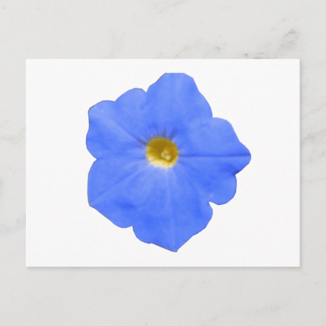 Petunia Blue och Gult Postcard Vykort (Framsida)