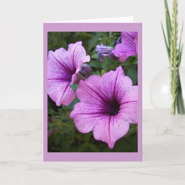 Petunia Card-mall Kort (Framsida)