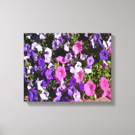 Petunia Flower Patch Canvastryck
