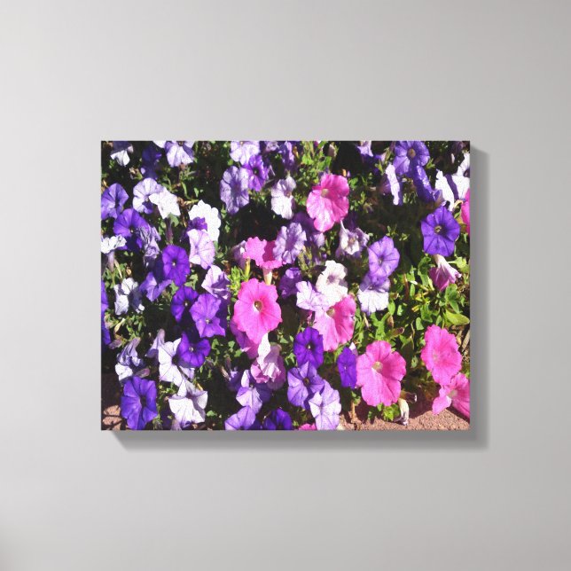 Petunia Flower Patch Canvastryck (Framsida)