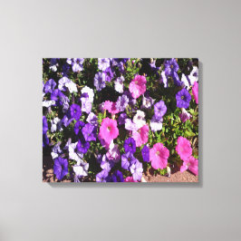Petunia Flower Patch Canvastryck