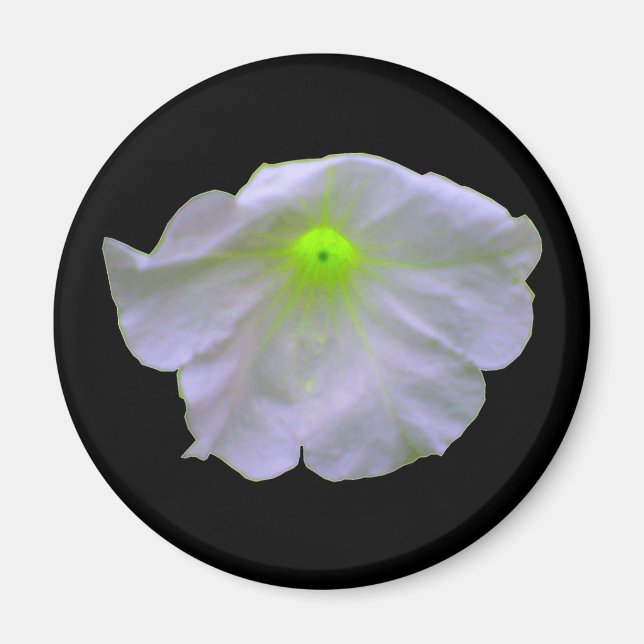 Petunia Grönt Glow Magnet (Framsidan)