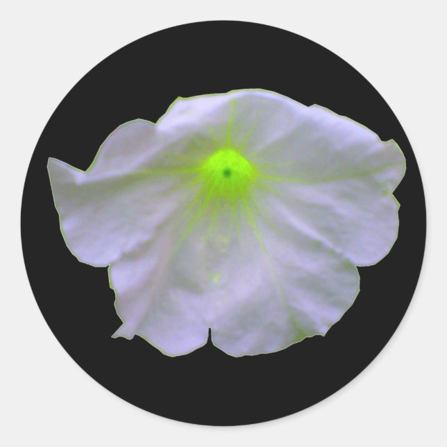 Petunia Grönt Glow Stickers Runt Klistermärke (Framsida)
