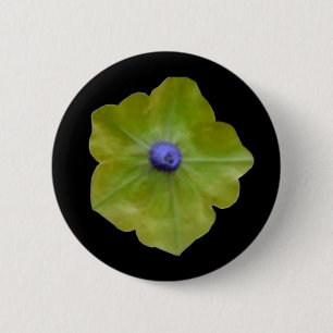 Petunia Grönt och Blue Button Knapp