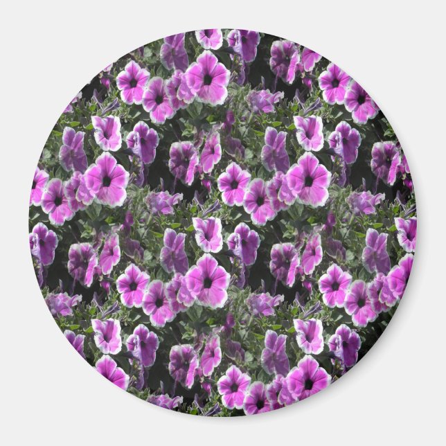 Petunia Land... Magnet (Framsidan)