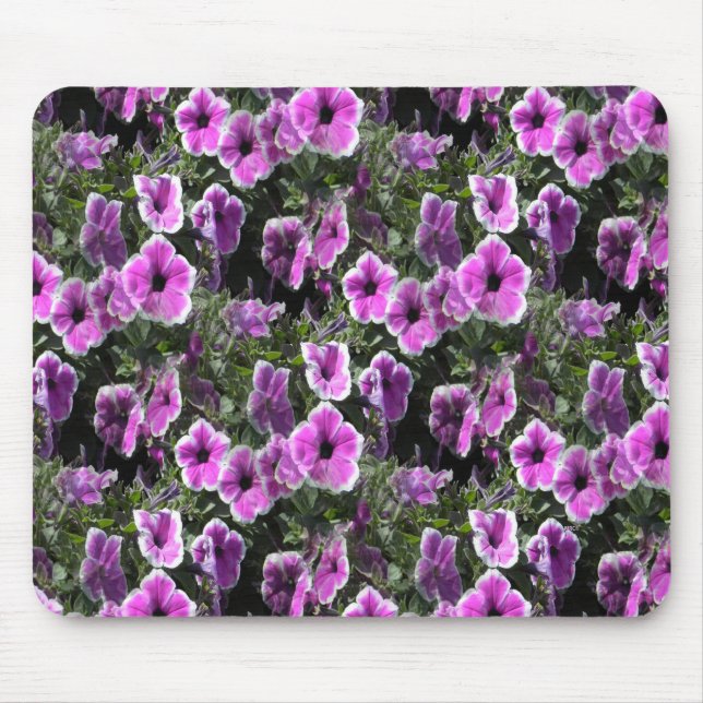 Petunia Land... Musmatta (Framsidan)