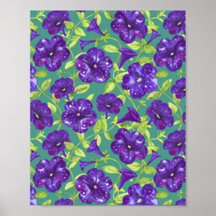 Petunia Night Himlar på tealbakgrunden Dekorativ k Poster