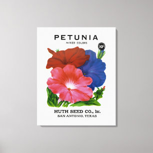 Petunia Vintage Seed Packet Canvastryck