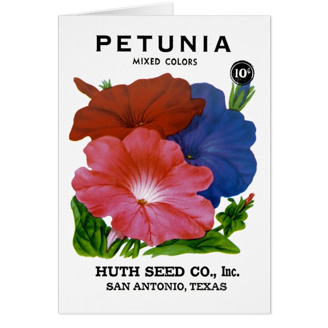 Petunia Vintage Seed Packet Hälsningskort (Framsidan)