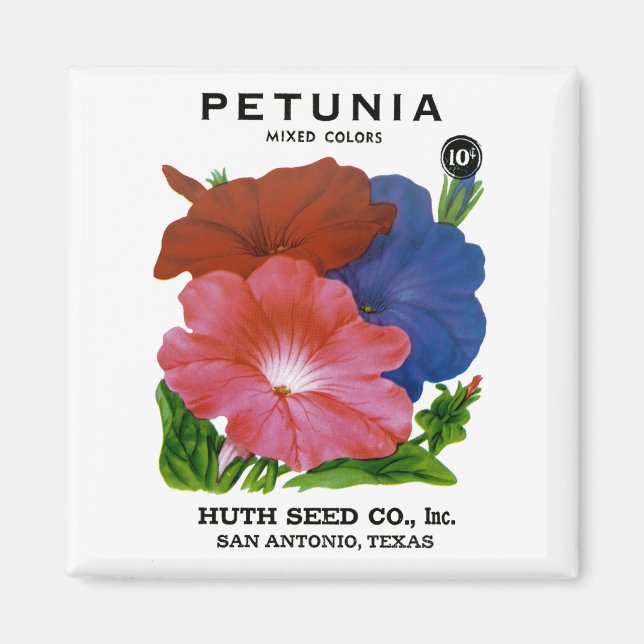 Petunia Vintage Seed Packet Magnet (Framsidan)