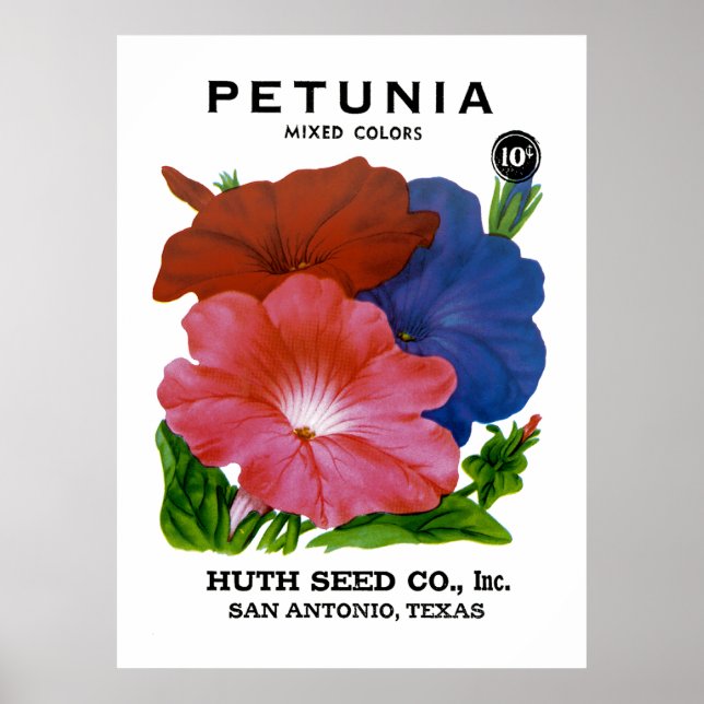 Petunia Vintage Seed Packet Poster (Framsidan)