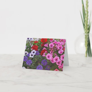 petuniaen blommar gåvakortet kort