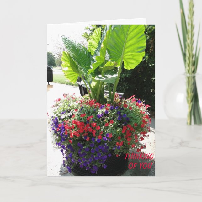 Petunias & Elephant Ear, du tänker Kort (Framsida)