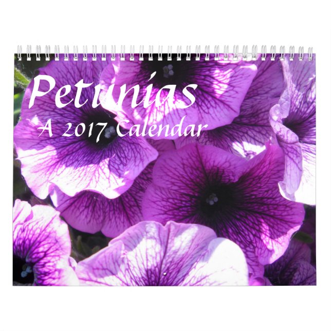 Petunias - en kalender 20XX (Omslag)