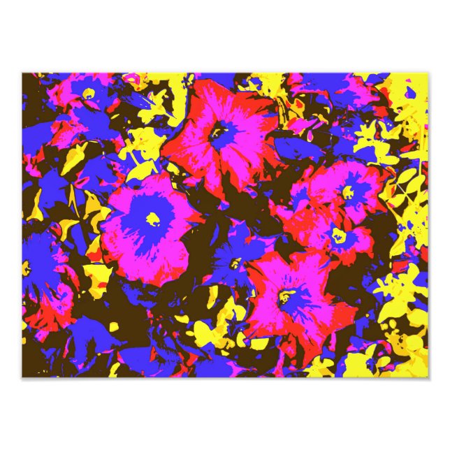 PETUNIAS FOTOTRYCK (Framsidan)