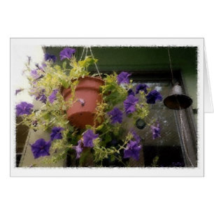 Petunias Hälsningskort