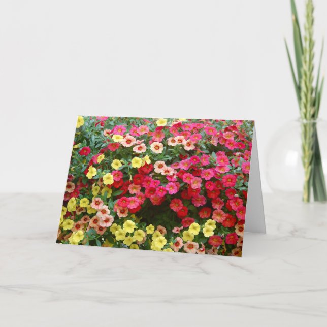 Petunias Kort (Framsida)