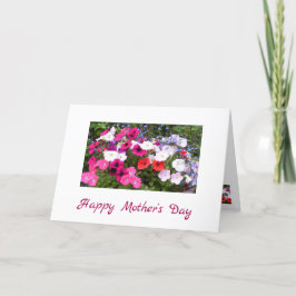 Petunias Rosa- och vitblommiga Mors dag-kort Kort