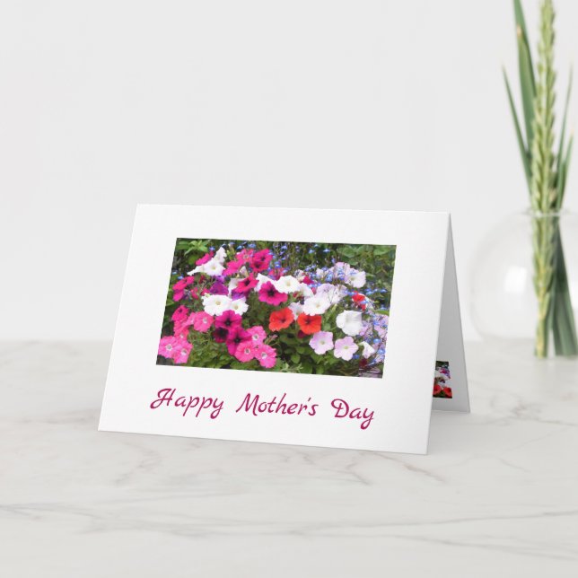 Petunias Rosa- och vitblommiga Mors dag-kort Kort (Framsida)