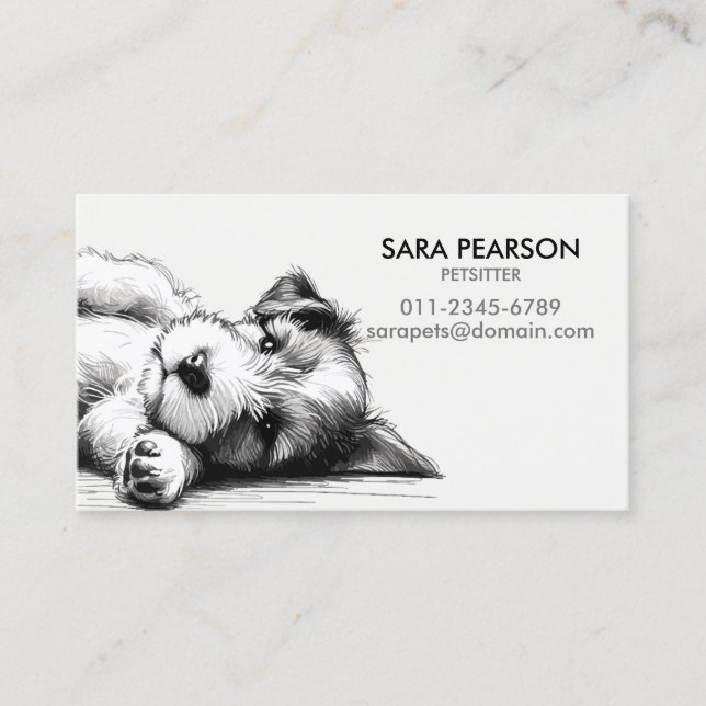 Petventuren Pet Minder Animals Hundar Visitkort (Framsida)