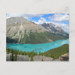 Peyto Glastic Sjö Banff Park Alberta Kanada Vykort