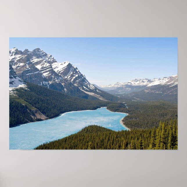 Peyto Lake - Banff nationalpark, Alberta, Kanada Poster (Framsidan)