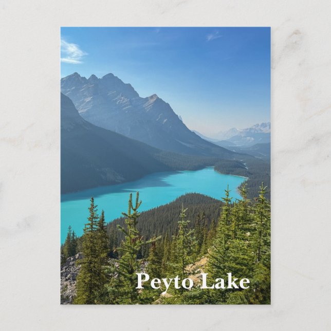 Peyto Lake in Banff Canada Vykort (Framsida)